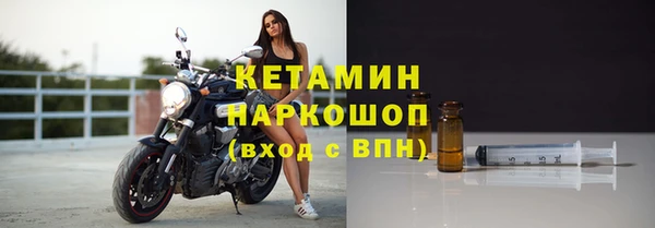 крисы Баксан