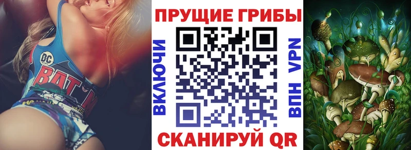 Галлюциногенные грибы Magic Shrooms  где можно купить наркотик  Зеленоградск 