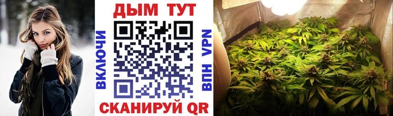 Бошки Шишки VHQ  Зеленоградск 